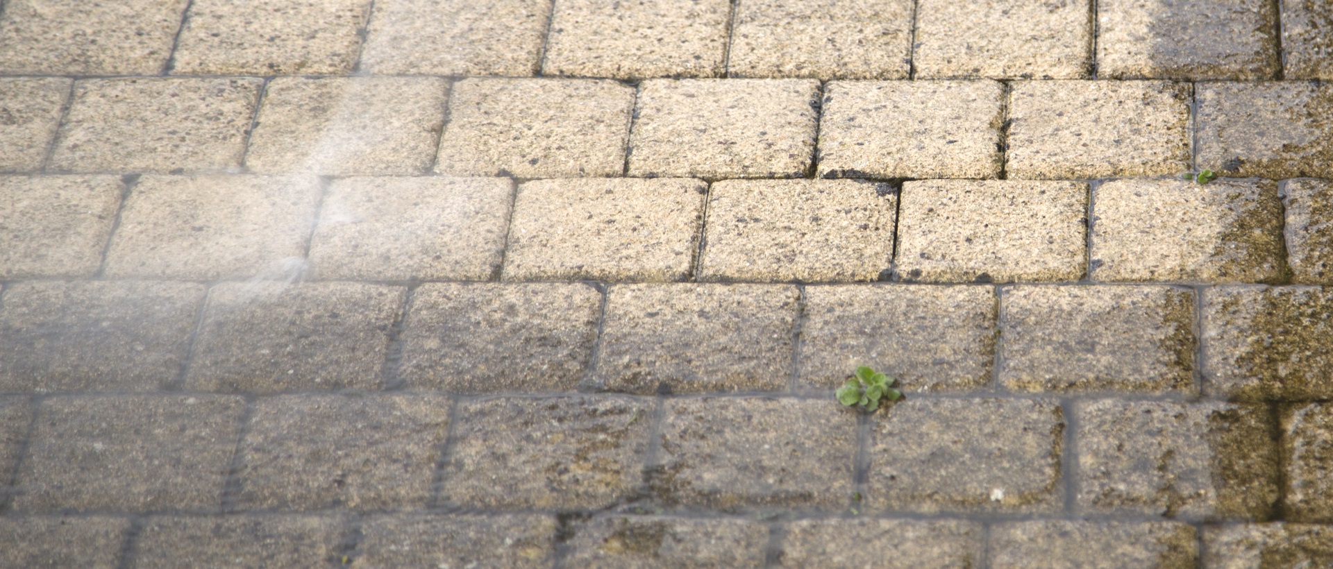 flagging and patios SW8